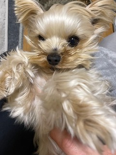 IMG_2815-303f0.jpeg