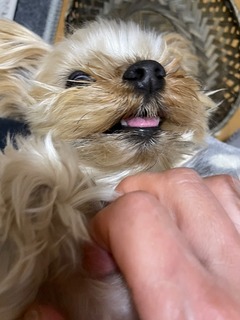 IMG_2816-1c2cc.jpeg