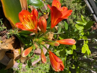 IMG_2830.jpeg