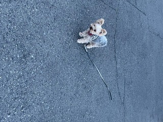 IMG_2839.jpeg