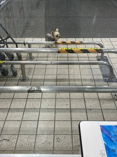 IMG_2852-23045.jpeg