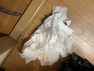 IMG_2872.jpeg