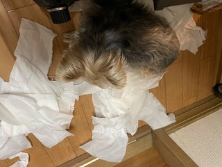 IMG_2876.jpeg