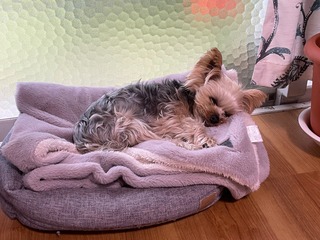 IMG_3027.jpeg