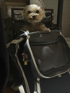 IMG_3052-ba547.jpeg