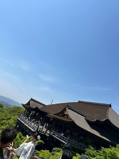 IMG_3220.jpeg