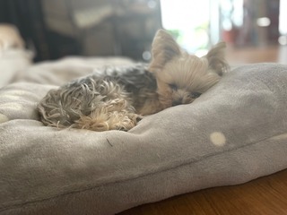 IMG_3276.jpeg