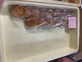 IMG_3322.jpeg