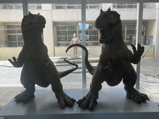 IMG_3323.jpeg
