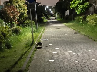 IMG_3327.jpeg