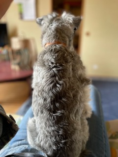 IMG_3382.jpeg