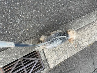 IMG_3482.jpeg