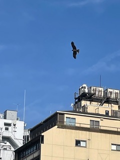 IMG_3529-6a4b1.jpeg