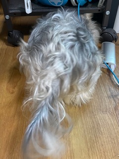 IMG_3711-9c9f6.jpeg