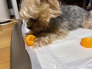 IMG_3714.jpeg