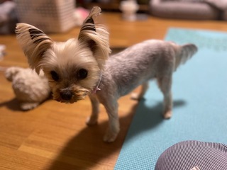 IMG_3857.jpeg