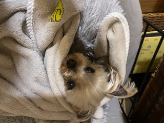 IMG_3859-dc3df.jpeg