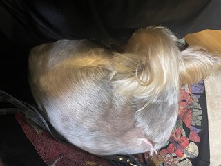 IMG_3905.jpeg