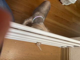 IMG_3990.jpeg