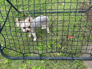 IMG_4018-1db16.jpeg