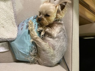IMG_4019.jpeg