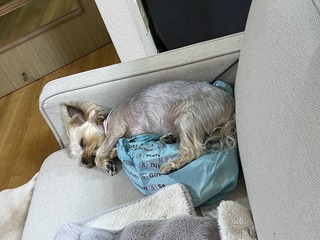IMG_4020.jpeg