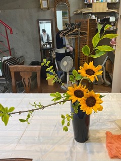 IMG_4114-10688.jpeg