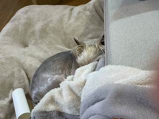 IMG_4136.jpeg