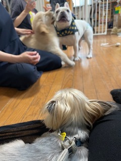 IMG_4163.jpeg