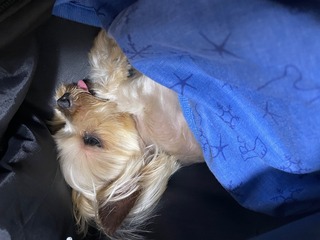IMG_4197.jpeg