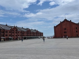 IMG_4230.jpeg