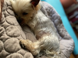 IMG_4240.jpeg