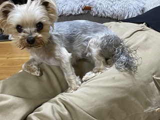 IMG_4245.jpeg