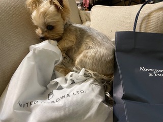 IMG_4249.jpeg