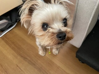 IMG_4350.jpeg