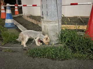 IMG_4402.jpeg