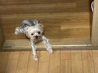IMG_4526.jpeg