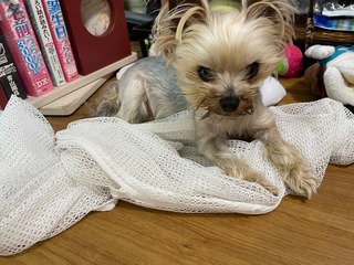 IMG_4535.jpeg