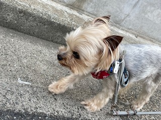 IMG_4555.jpeg