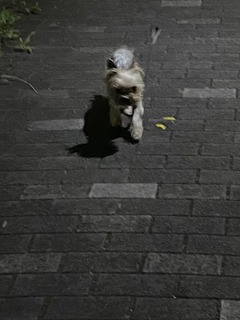 IMG_4574-fbde9.jpeg