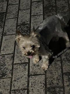 IMG_4575-f7bb9.jpeg