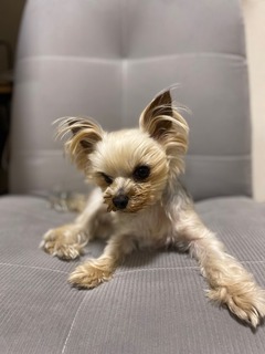 IMG_4589.jpeg