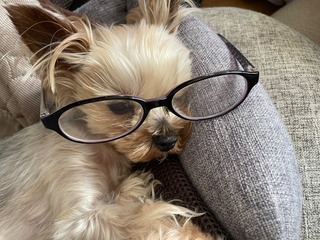 IMG_4649.jpeg