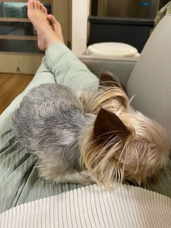 IMG_4674.jpeg