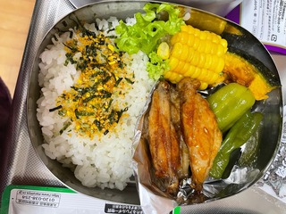 IMG_4737.jpeg