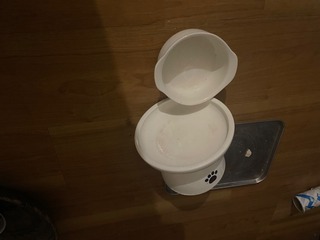IMG_4780.jpeg