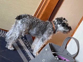 IMG_4868-4aad3.jpeg