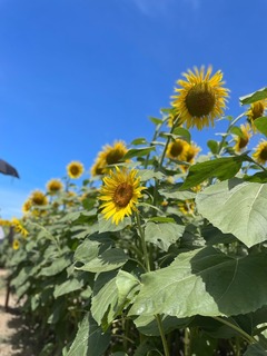 IMG_4948.jpeg