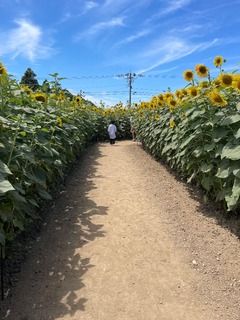IMG_4949.jpeg