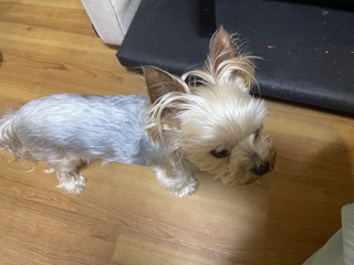 IMG_5061.jpeg